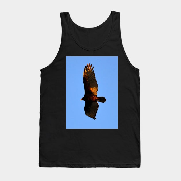 Turkey Vulture Tank Top by dltphoto